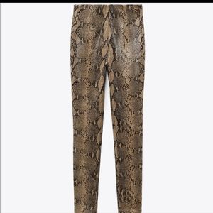 Zara Snake Print Coated Leggings